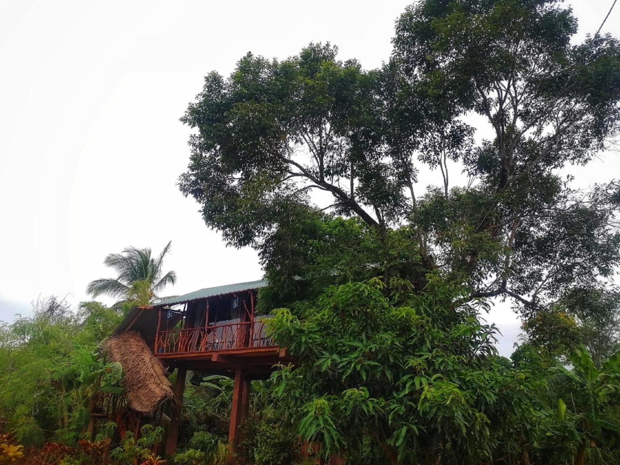 Sigiriya Rock View Tree House Villa Buitenkant foto