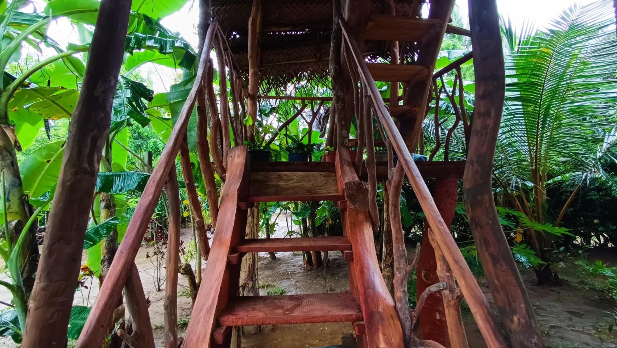 Sigiriya Rock View Tree House Villa Buitenkant foto